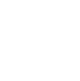 Professional Service